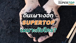 ดนเพาะงอก Supertop เหมาะกบใคร?