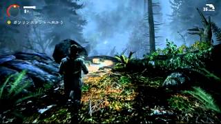 【実況】作家が強すぎて怖くないALAN_WAKE：02【高画質版】