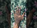 Stylish back hand mehndi design🌿✨ #shorts#bridalmehndi #mendi #shortsvideo