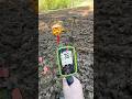 Поиск клада! #золото #metaldetecting #shortvideo #коп #поиск #metaldetector #клад #монеты #coin #топ