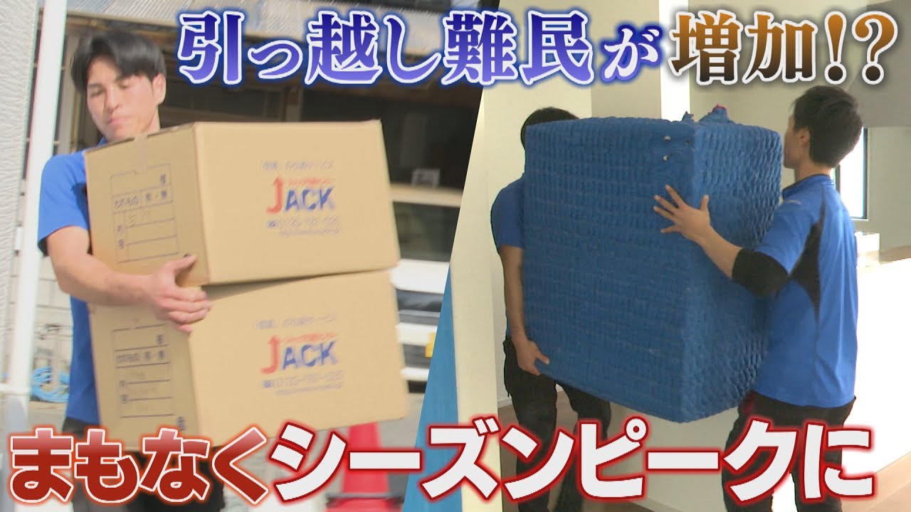 LeLe（引っ越しセール中) hq720.jpg?sqp=-