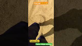 #farmer🌾🌾🙏💯 #agriculturefarming #villagelife #telanganafarming #food #agriculture #paddy #farmerlove