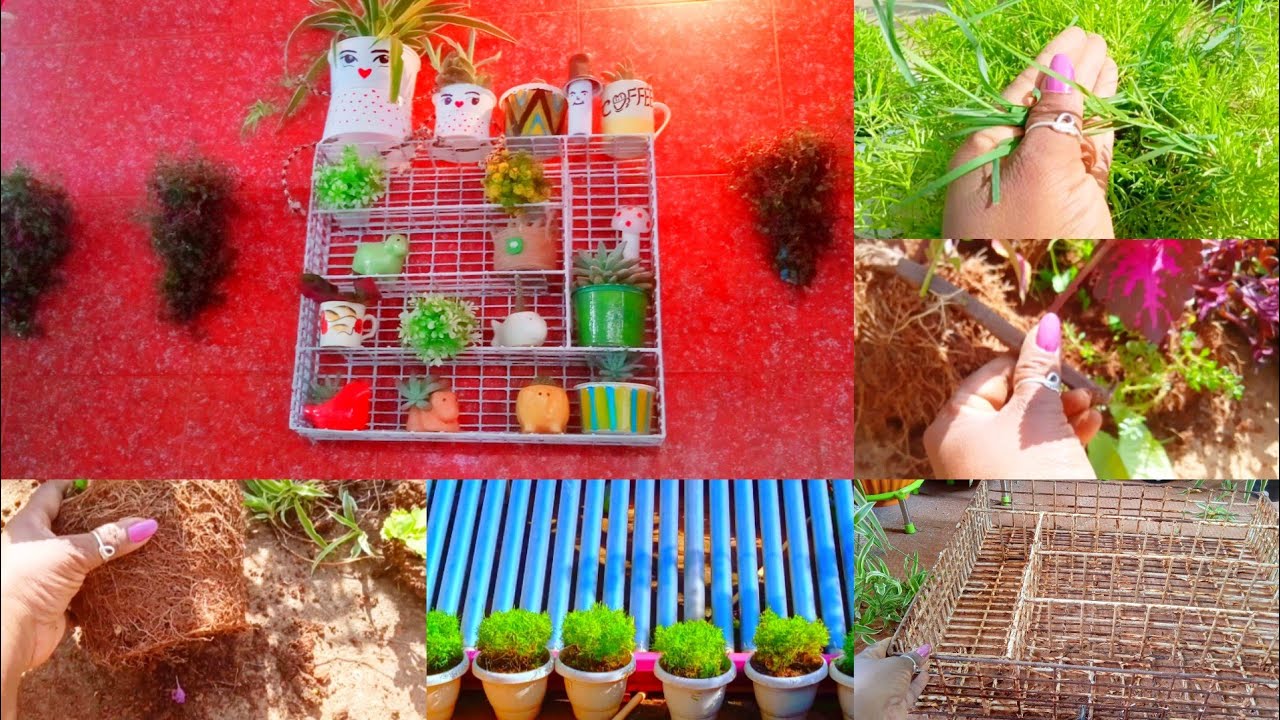 Garden work 🌱 YouTube