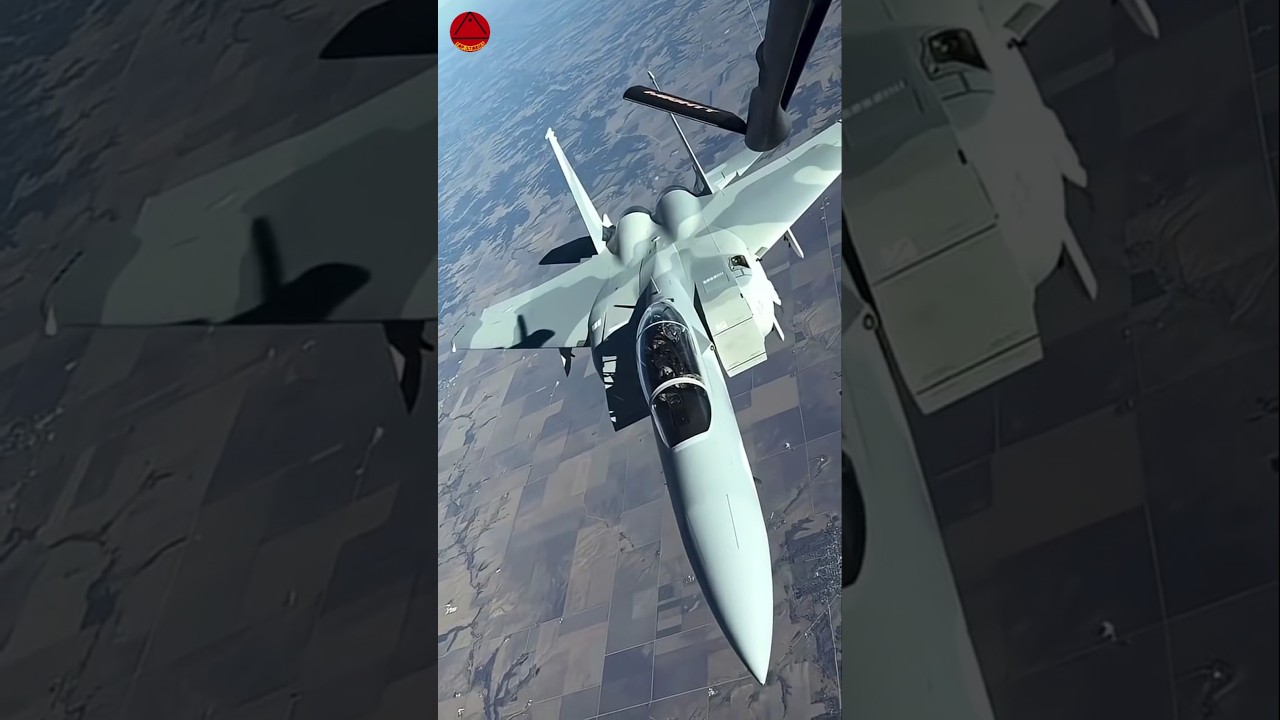 "Why Some Fighter Jets Have 2 Pilots?" 