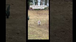 It happened with lightning.