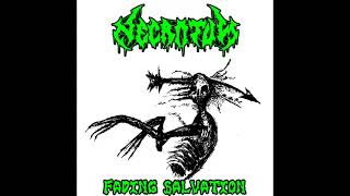 Necrotum - Fading Salvation