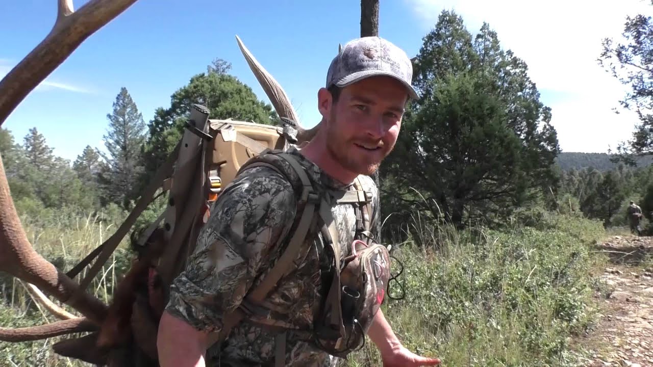 New Mexico Bugling Bulls