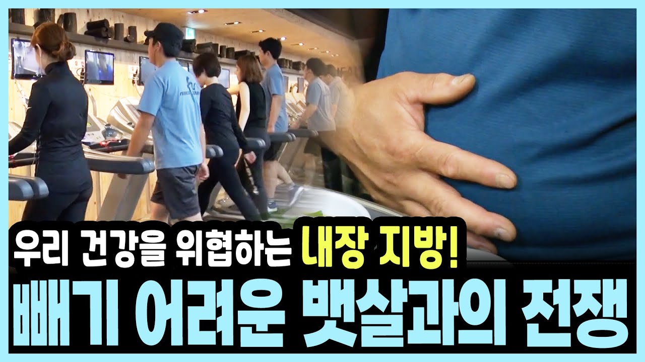 [경고] 뱃살은 ‘살’이 아니라 ‘병’이다! 무분별한 생활습관이 부른 뱃살의 경고 I KBS 20160602 방송