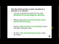 Understanding Phrases, Clauses, and Finite Verbs