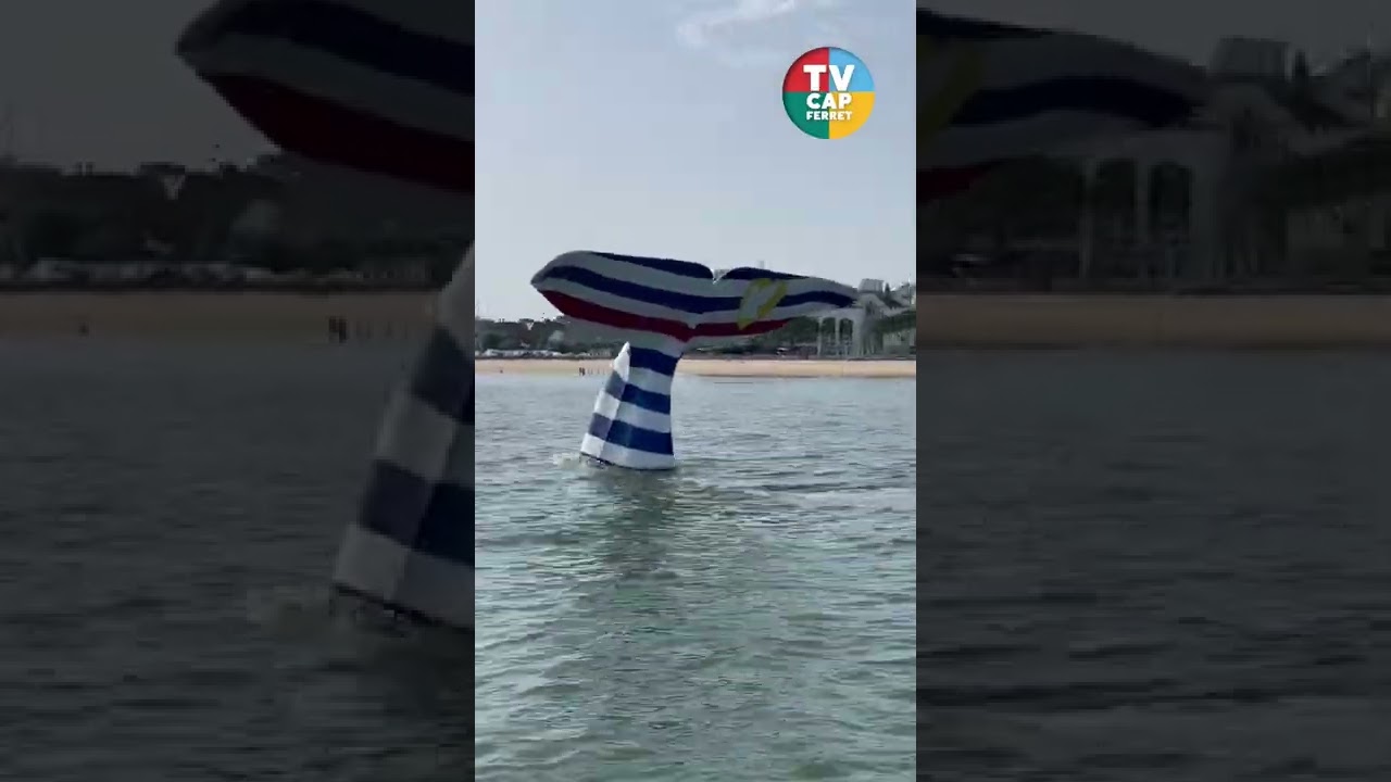 YouTube player