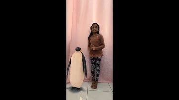 Penguin | Pingu | ARPenguin |Augmented Reality|