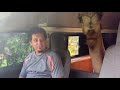 Safest and easiest way to transport a trained camel.