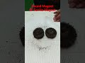 Round magnet Poles || Magnetic effect of electric current class 10 #shorts #scienceexperiment