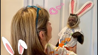 MONKEY BUNNIES...is it Easter 🐣 yet! 🐇🍡🐣💕