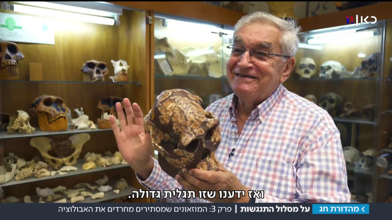 לצנזר את ההיסטוריה: המוזיאונים שמסתירים מחרדים את האבולוציה