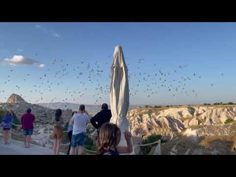 მტრედები კაბადოკიაში.  Pigeons in Cappadocia.  Голуби в Каппадокии.