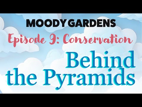 Behind the Pyramids | Episode 9: Conservation with Jennifer Lamm