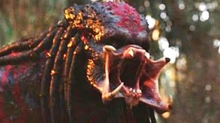 False Facts About The Predator That Everyone Believes