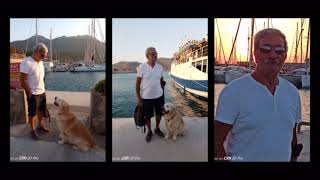 Teki̇n Çeli̇kel - Ağlamakla İnlemekle Ömrüm Geli̇p Geçi̇yor Resimi