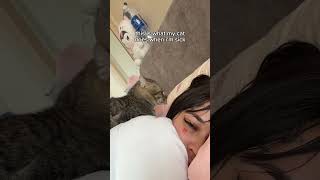 "this nest is warm" (ig: helltai) #cat #cats #kitten #kittens @betch