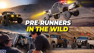 Prerunners in the wild VS Ocotillo wells 
