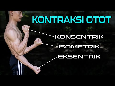 Video: Pada maksudnya eksentrik?