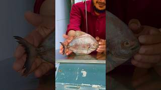 Black rupchanda fish cutting video rells