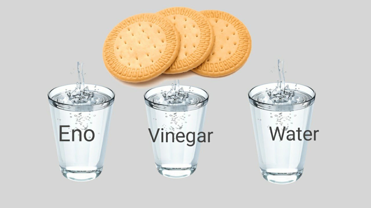Biscuits V/s Eno, Water and Vinegar Easy Science Experiment With Eno