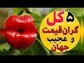 گرانترین و عجیب ترین گلها ۵ تا از گرانترین و عجیب ترین گل های جهان گرانترین و عجیب ترین گلها ۵ تا از گرانترین و عجیب ترین گل های جهان