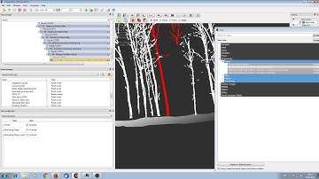 Plot Processing Step 5   QSM modelling part a
