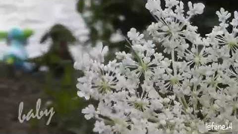 Malibu MEP - part 14 - for Peppykinz