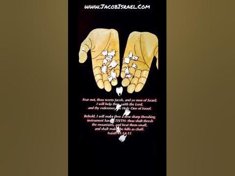What Does Losing Your Teeth In A Dream Mean?! #Dreams #DreamMeaning #