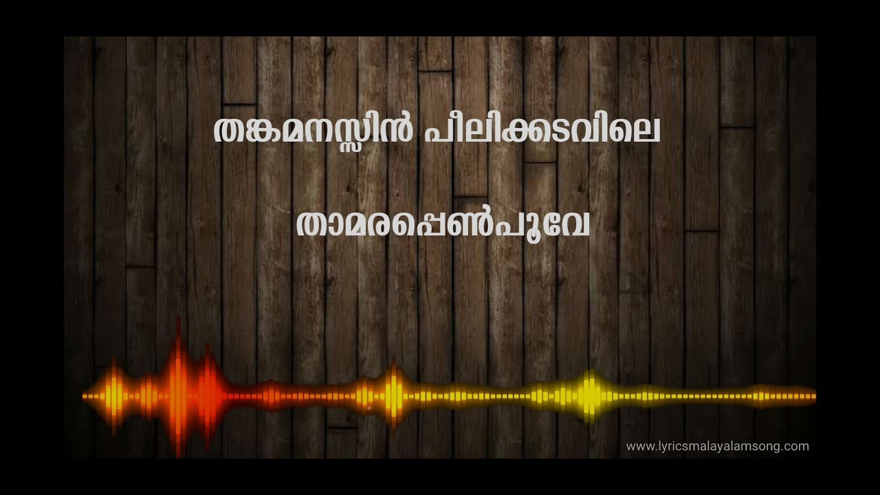 Thankamanasin Peelikadavile  Lyrics in Malayalam  Sundarapurushan Movie Lyrics Video