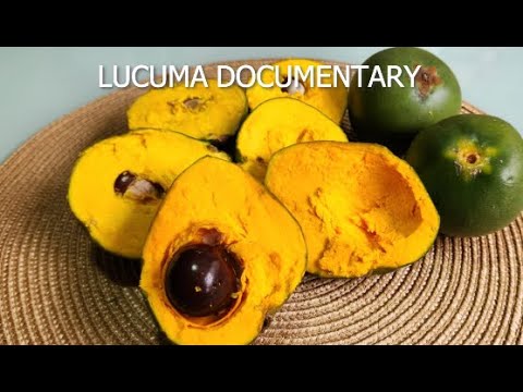 LUCUMA DOCUMENTARY PERUVIAN FRUIT SUPER FOOD