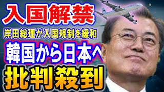 【海外の反応】隣国「やっと日本に行ける!」日本への入国緩和に賛否両論「韓国だけは許可するな。」の声【何が起きてる?ニッポン!!】