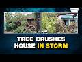 Kalbaisakhi storm havoc in Dhenkanal | Tree falls on house, 3 injured in Bhuban block