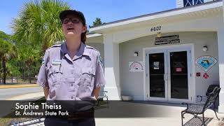 Florida Park Service Volunteers