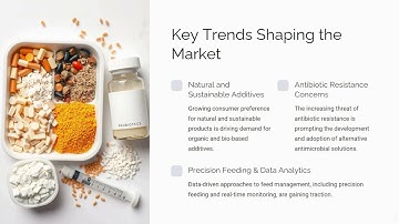 Animal Feed Additives Market Insights