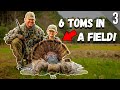 MISSISSIPPI TURKEY HUNTING!! - (Calling Field Gobblers!)