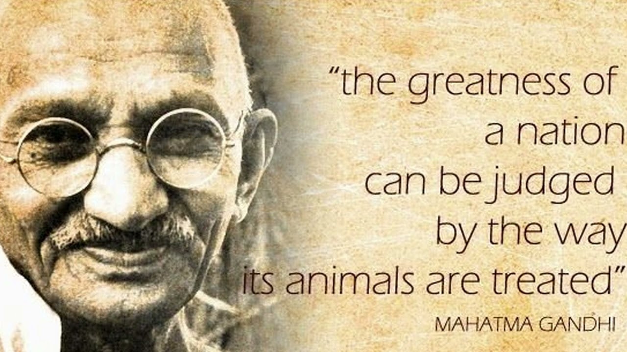 Why Vegan from the Genius Pool of Earth