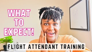 Q&A: Flight Attendant Training | 2k Subscribers Celebration ? ? ✈️ | Merry Christmas