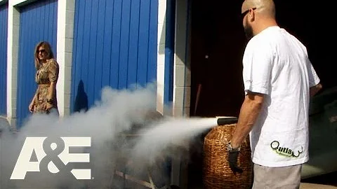 Storage Wars: Wiggin' Out with Jarrod and Brandi (...