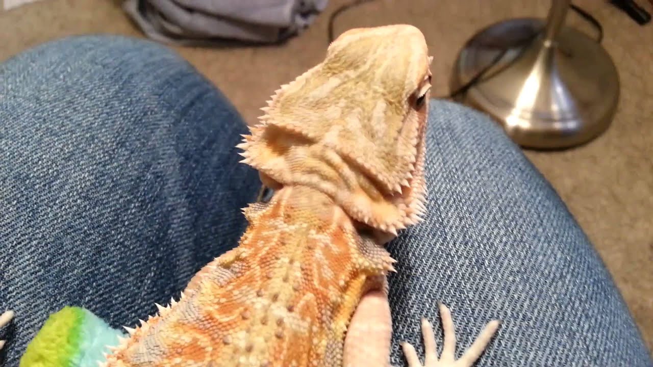  Freddy Update + Bath Time!!