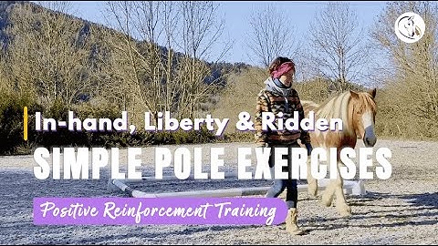 Versatile & Simple Pole Exercise for Your Horse In-hand, Liberty and Ridden
