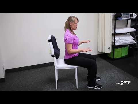 OPTP Thoracic Lumbar Back Support