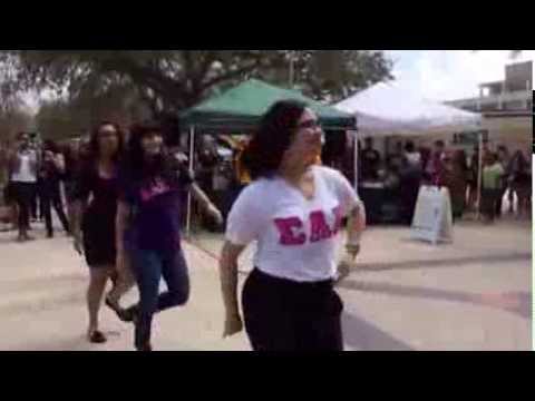 Sigma Lambda Gamma Stroll