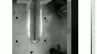Free blow of stretch blow moulding.avi
