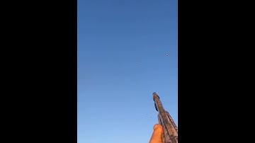 Watch the second clip, he found it with out a dog ! ;-) #duckhunting #hunting #duck @bossshotshells