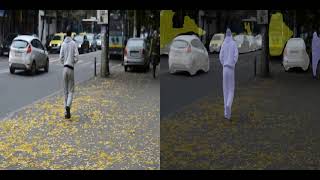 Semantic Segmentation Using Torchvision Learnopencv
