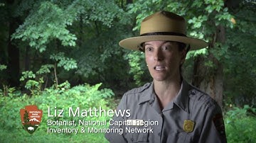 Audio Described - Learn About Inventory and Monitoring in National Parks